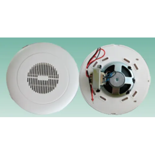 DNX Wall Mounted Hoparlör 06