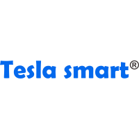 Tesla Electronic