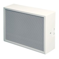 Proje Hoparlörü 6W